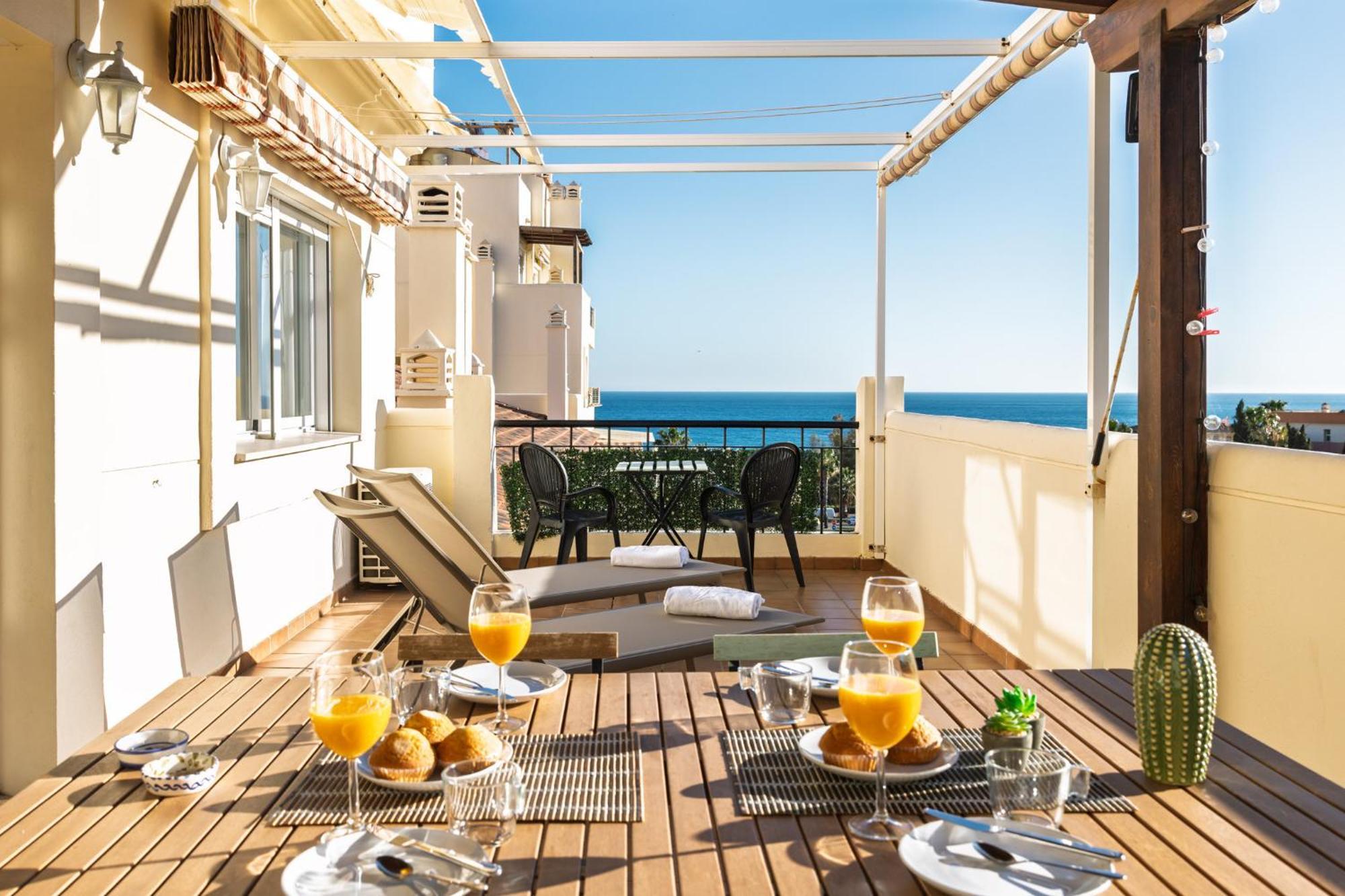 Timon By Alfresco